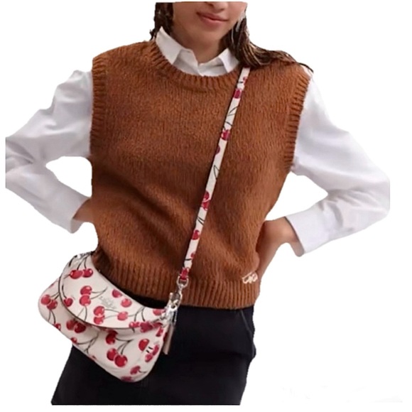 🍒COACH Cherry Print Teri Shoulder Bag in Silver Chalk Multi MSRP $398🍒 - Picture 8 of 9